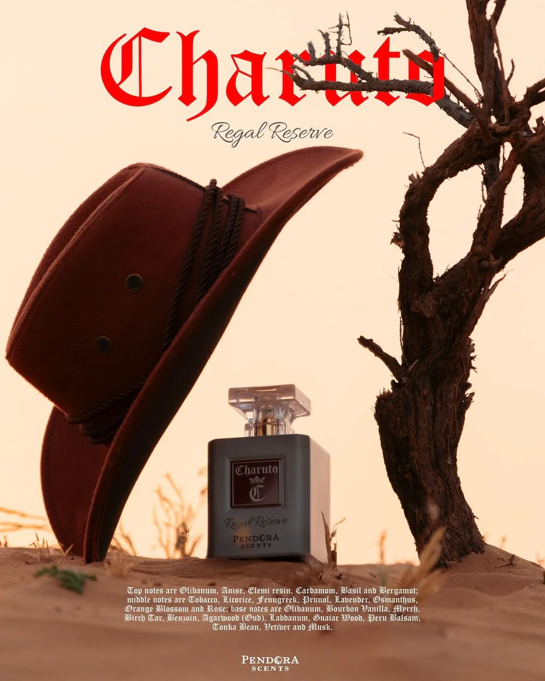 CHARUTO Regal Reserve - Eau de Parfum 100ml - Image 2